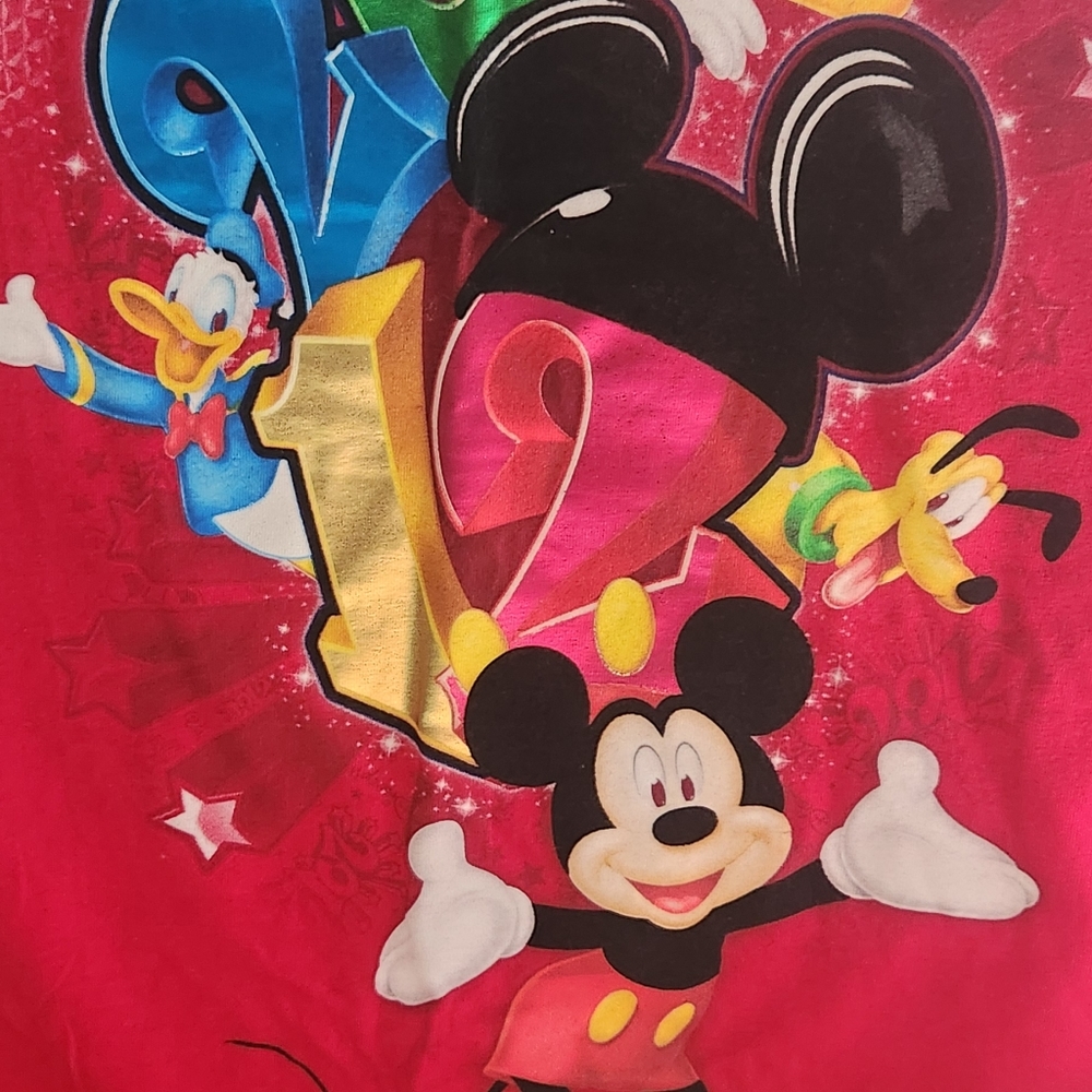 2012 Disney shirt